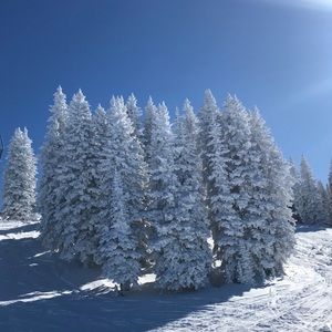 Meet your Posher, Manuel